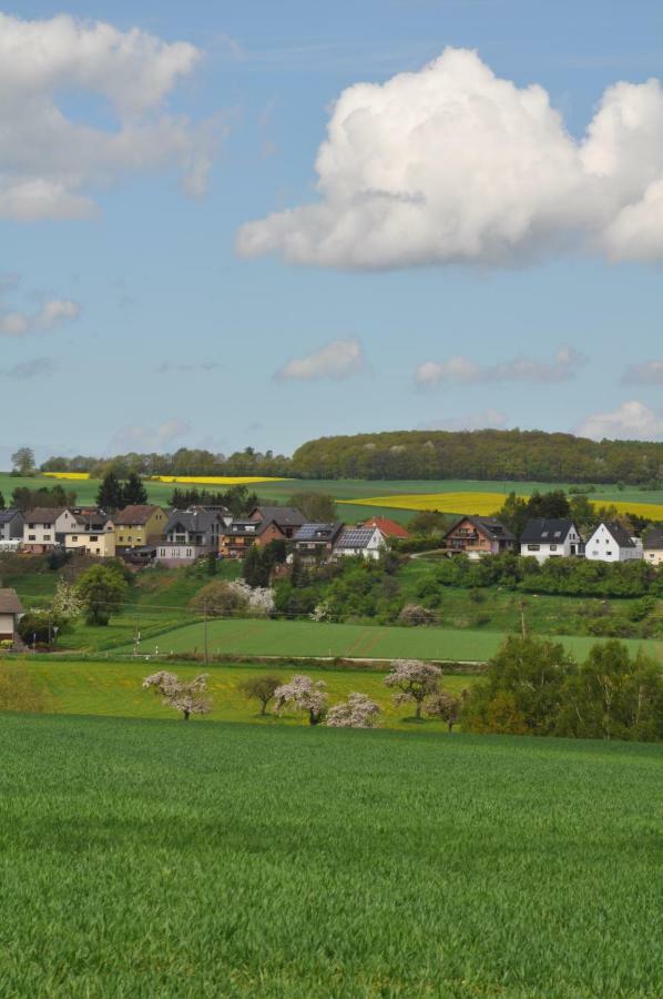 Ferienwohnung Roter Kater Am Nationalpark Eifel Bergbuir Extérieur photo